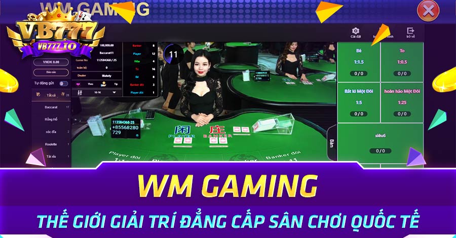 WM Gaming
